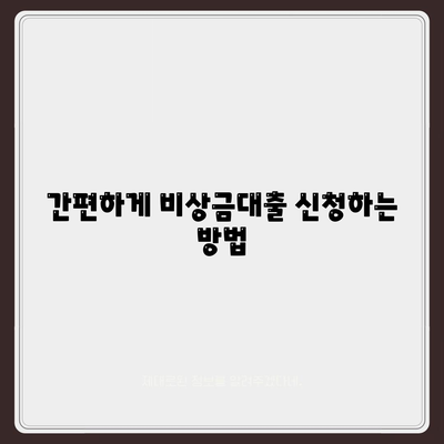 1금융 비상금대출 이용 방법 및 신청 팁 | 비상금 대출, 금융 상품, 대출 가이드