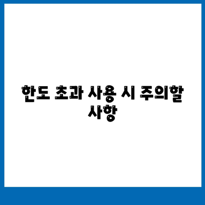 신용카드 잔여 한도 사용법의 정석| 올바른 활용 팁과 주의사항 | 신용카드, 금융관리, 소비자 가이드