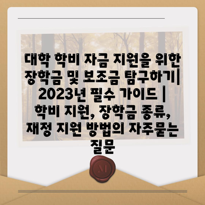 대학 학비 자금 지원을 위한 장학금 및 보조금 탐구하기| 2023년 필수 가이드 | 학비 지원, 장학금 종류, 재정 지원 방법