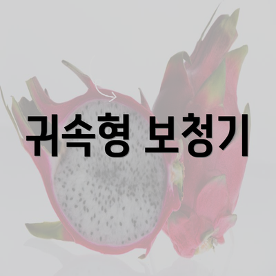 귀속형 보청기