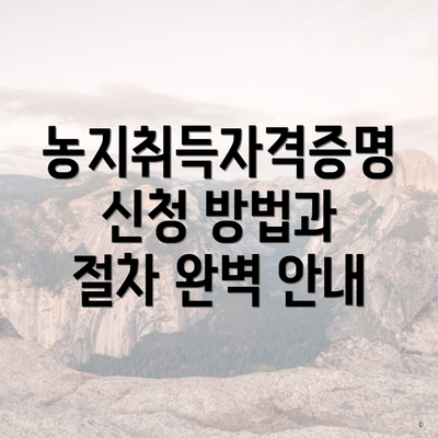 농지취득자격증명 신청 방법과 절차 완벽 안내