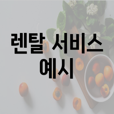 렌탈 서비스 예시