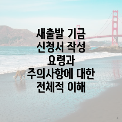 새출발 기금 신청서 작성 요령과 주의사항에 대한 전체적 이해