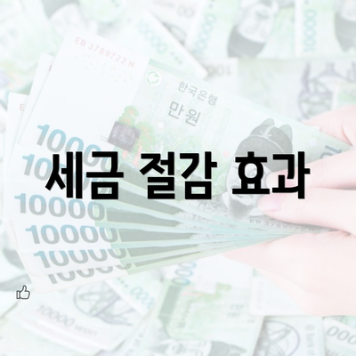 세금 절감 효과