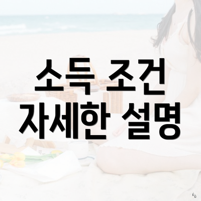 소득 조건 자세한 설명