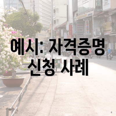 예시: 자격증명 신청 사례