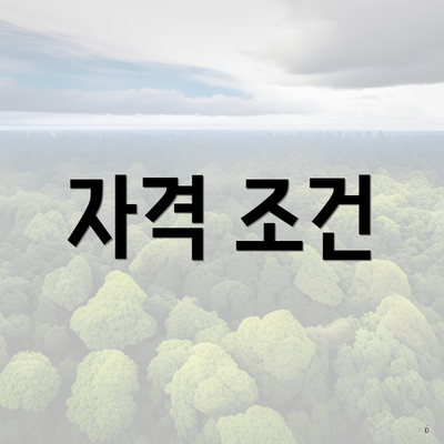 자격 조건