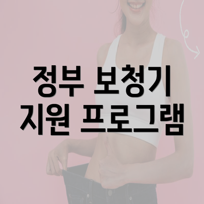 정부 보청기 지원 프로그램