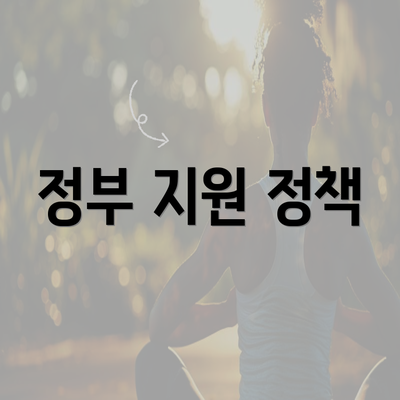 정부 지원 정책