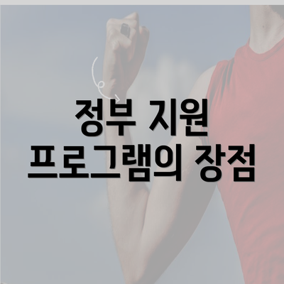 정부 지원 프로그램의 장점