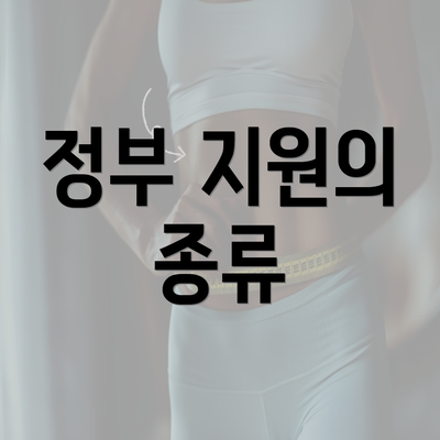 정부 지원의 종류