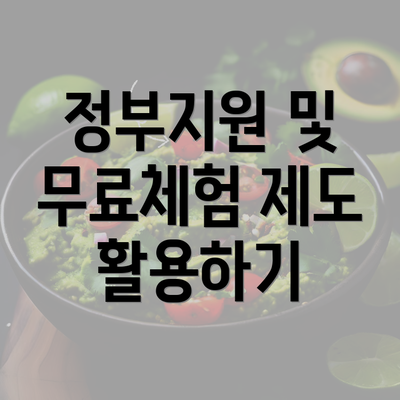 정부지원 및 무료체험 제도 활용하기