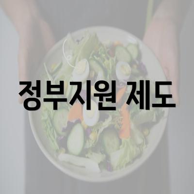 정부지원 제도