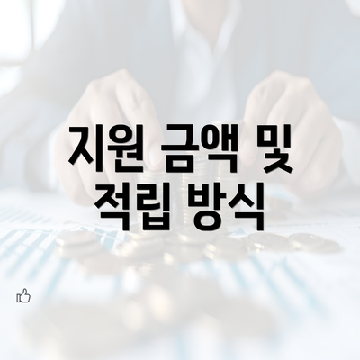 지원 금액 및 적립 방식