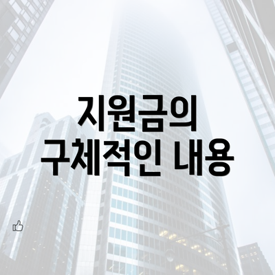 지원금의 구체적인 내용