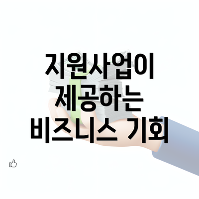 지원사업이 제공하는 비즈니스 기회