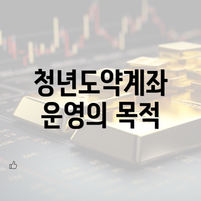 청년도약계좌 운영의 목적