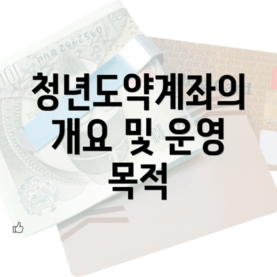 청년도약계좌의 개요 및 운영 목적