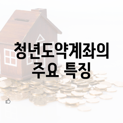 청년도약계좌의 주요 특징