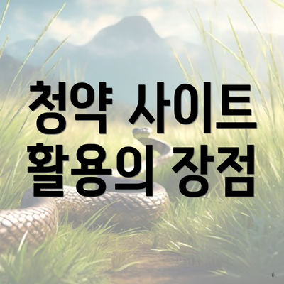 청약 사이트 활용의 장점