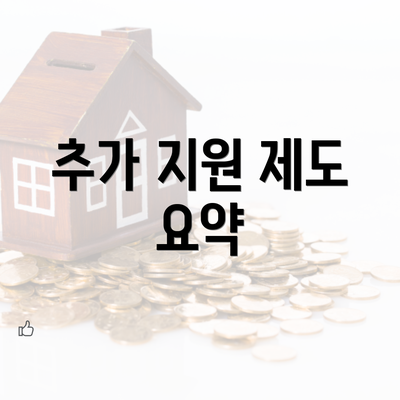 추가 지원 제도 요약