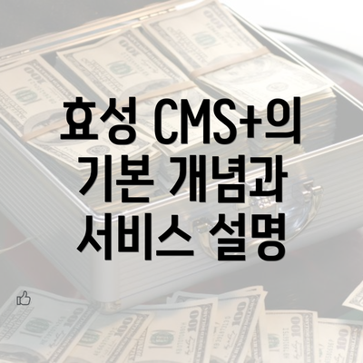 효성 CMS+의 기본 개념과 서비스 설명