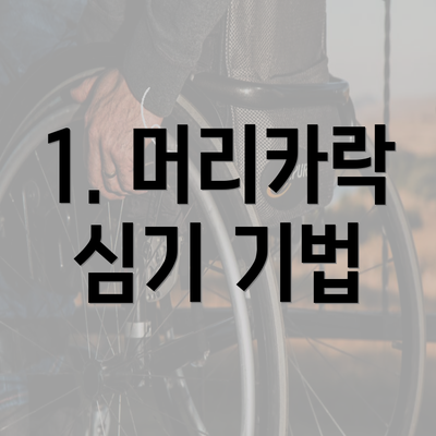 1. 머리카락 심기 기법