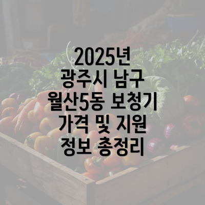 2025년 광주시 남구 월산5동 보청기 가격 및 지원 정보 총정리