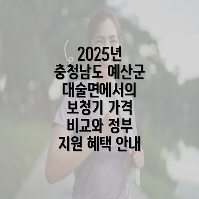 2025년 충청남도 예산군 대술면에서의 보청기 가격 비교와 정부 지원 혜택 안내