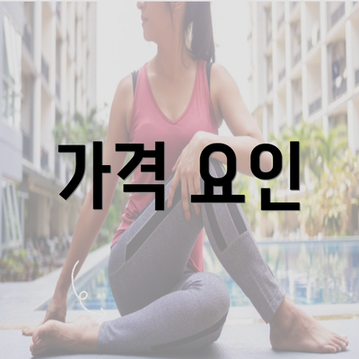 가격 요인