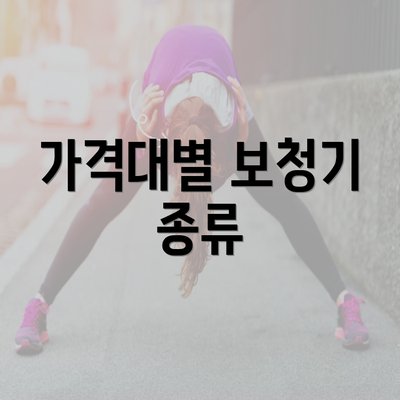 가격대별 보청기 종류