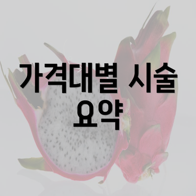 가격대별 시술 요약