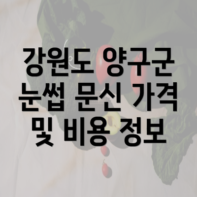 강원도 양구군 눈썹 문신 가격 및 비용 정보