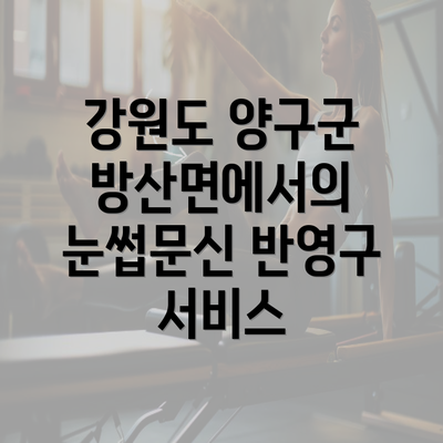 강원도 양구군 방산면에서의 눈썹문신 반영구 서비스