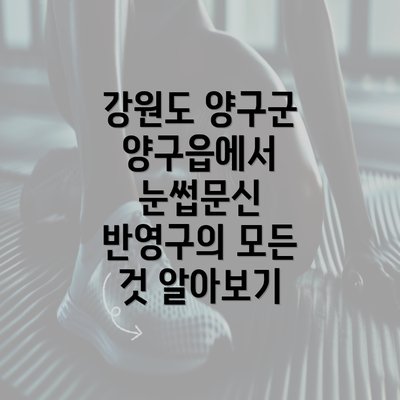 강원도 양구군 양구읍에서 눈썹문신 반영구의 모든 것 알아보기