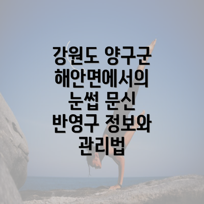 강원도 양구군 해안면에서의 눈썹 문신 반영구 정보와 관리법