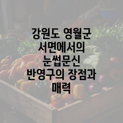 강원도 영월군 서면에서의 눈썹문신 반영구의 장점과 매력