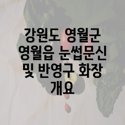 강원도 영월군 영월읍 눈썹문신 및 반영구 화장 개요