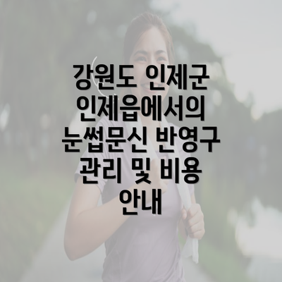 강원도 인제군 인제읍에서의 눈썹문신 반영구 관리 및 비용 안내