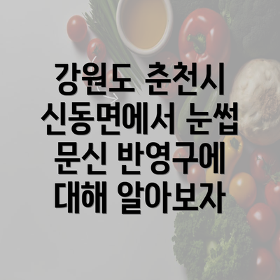 강원도 춘천시 신동면에서 눈썹 문신 반영구에 대해 알아보자