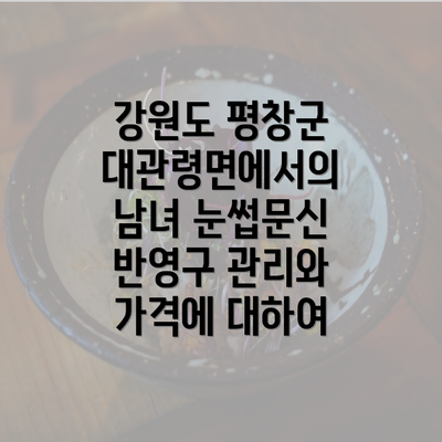 강원도 평창군 대관령면에서의 남녀 눈썹문신 반영구 관리와 가격에 대하여