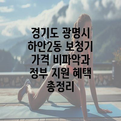 경기도 광명시 하안2동 보청기 가격 비파악과 정부 지원 혜택 총정리