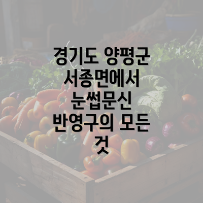 경기도 양평군 서종면에서 눈썹문신 반영구의 모든 것