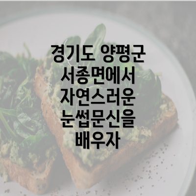 경기도 양평군 서종면에서 자연스러운 눈썹문신을 배우자