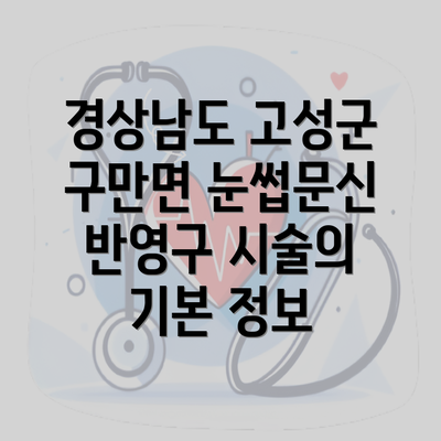 경상남도 고성군 구만면 눈썹문신 반영구 시술의 기본 정보