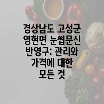 경상남도 고성군 영현면 눈썹문신 반영구: 관리와 가격에 대한 모든 것