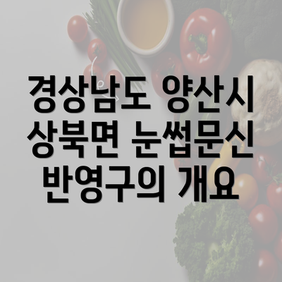 경상남도 양산시 상북면 눈썹문신 반영구의 개요