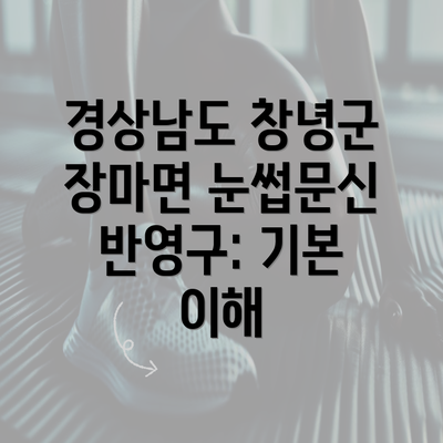 경상남도 창녕군 장마면 눈썹문신 반영구: 기본 이해