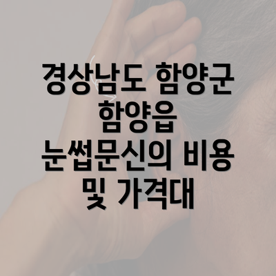 경상남도 함양군 함양읍 눈썹문신의 비용 및 가격대