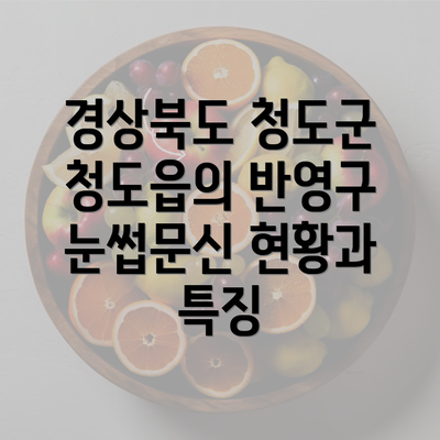 경상북도 청도군 청도읍의 반영구 눈썹문신 현황과 특징